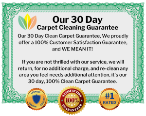 30 day clean carpet guarantee