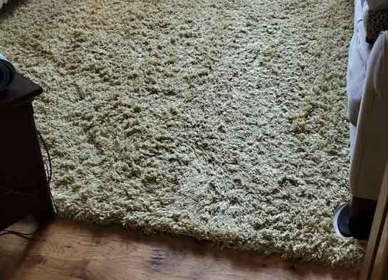 rug cleaning results 1